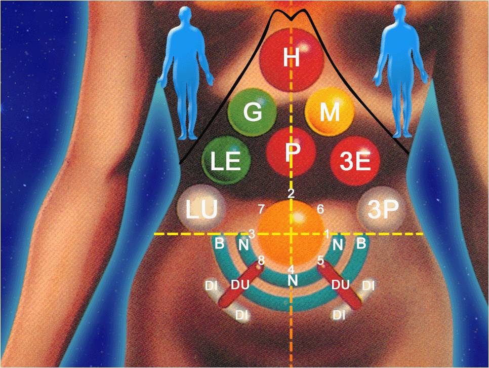 Chi Nei Tsang Hara Diagnoze